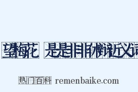望梅花·是是非非休辩近义词是什么意思的图片